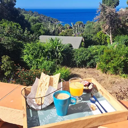 アパートホテル L'alize Du Levant Île du Levant